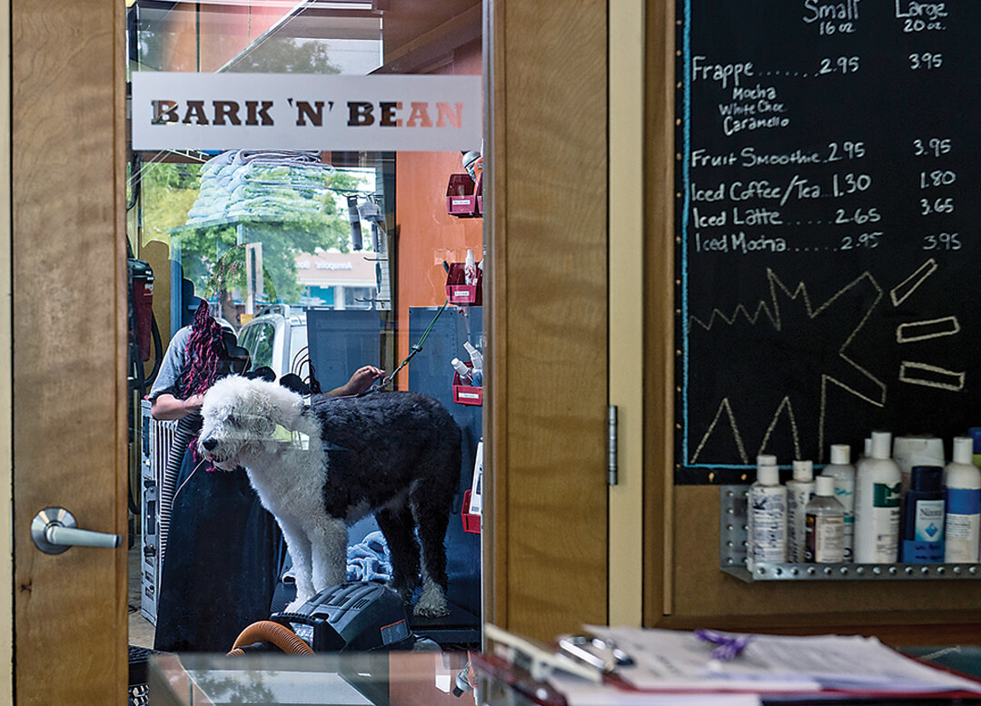 The Ultimate Pet Guide